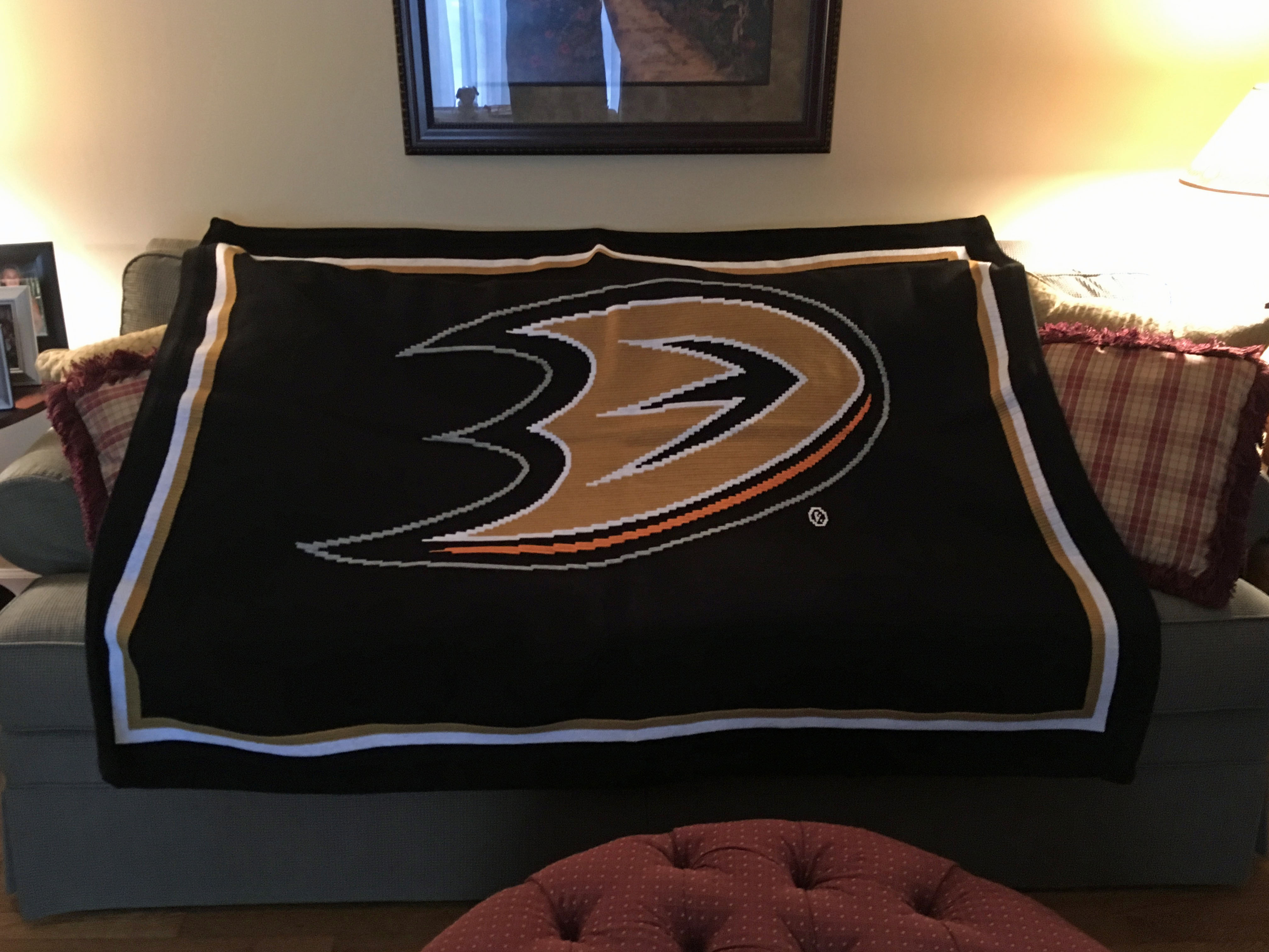 Anaheim Ducks Photo-1